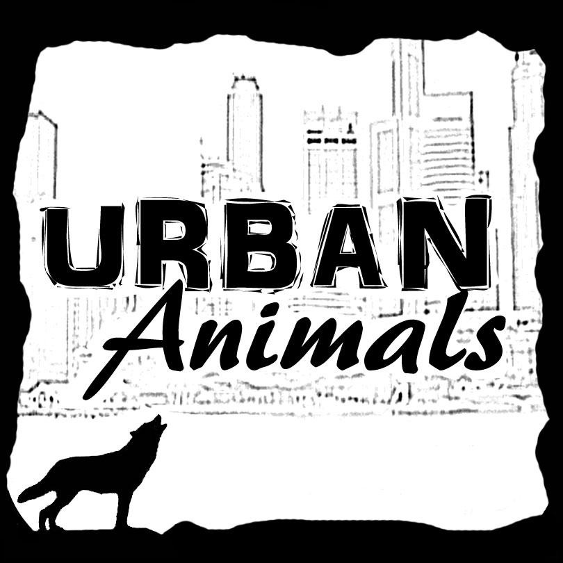 URBAN ANIMALS